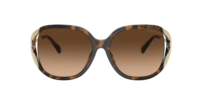 Coach Woman Sunglass Hc8396u Cr620 In Brown