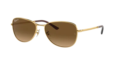 Ray Ban Ray In Burgundy