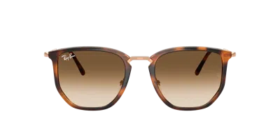Ray Ban Ray In Brown