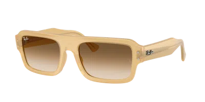Ray Ban Ray In Brown