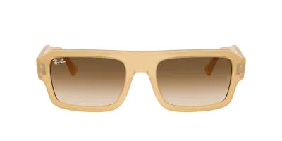 Ray Ban Ray In Brown