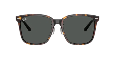 Ray Ban Ray In Brown