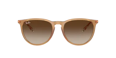 Ray Ban Ray In Brown
