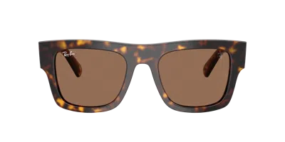 Ray Ban Ray In Brown