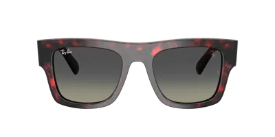 Ray Ban Ray In Brown