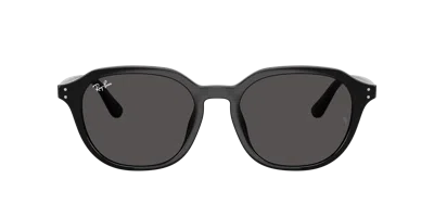 Ray Ban Ray In Black