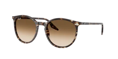 Ray Ban Ray In Brown