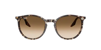 Ray Ban Ray In Brown