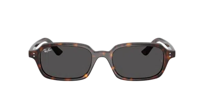 Ray Ban Ray In Brown