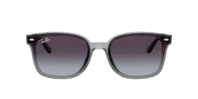 Ray Ban Ray In Brown