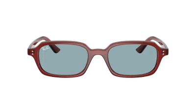 Ray Ban Ray In Brown