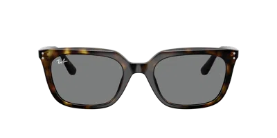 Ray Ban Ray In Gray