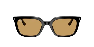 Ray Ban Ray In Black