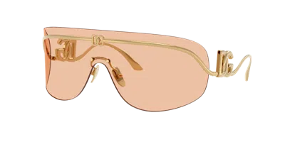 Dolce & Gabbana Dolce&gabbana 140mm Pillow Shield Sunglasses In Brown