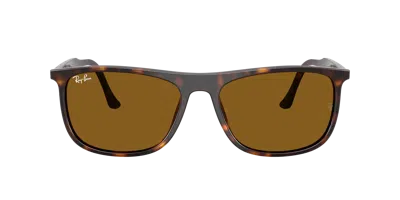 Ray Ban Ray In Brown