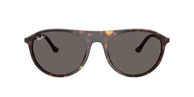 Ray Ban Ray In Gray
