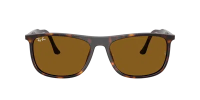 Ray Ban Ray In Brown
