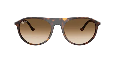 Ray Ban Ray In Brown