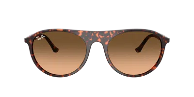 Ray Ban Ray In Brown