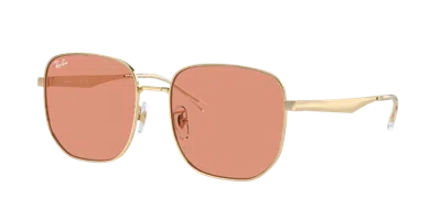 Ray Ban Ray In Brown