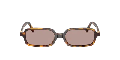 Miu Miu 0mu 11zs Miu Regard 14l20i Havana Miele Sunglasses In Multi