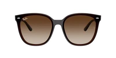 Ray Ban Ray In Brown