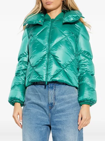 Add Quilted-hooded Jacket In Green