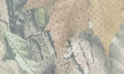 Alpha Collective Cropped Jersey '84 T-shirt In Green