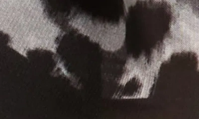 Vince Camuto Ombre Animal Print Square Scarf In Black