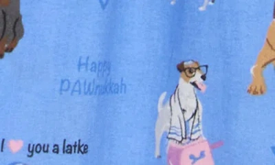 Pj Salvage Flannel Pajamas In Blue