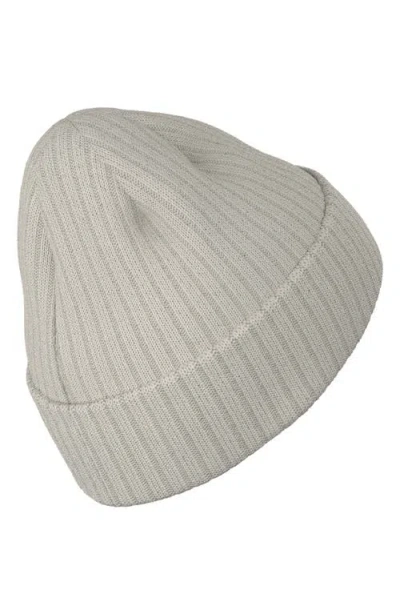 Adidas Originals Adidas Altitude 2 Cuff Beanie In Neutral