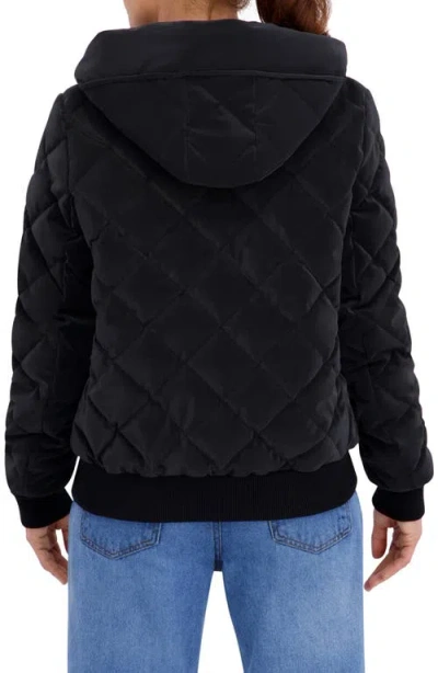 Ookie & Lala Carbon Stadium Hooded Puffer Jacket In Black