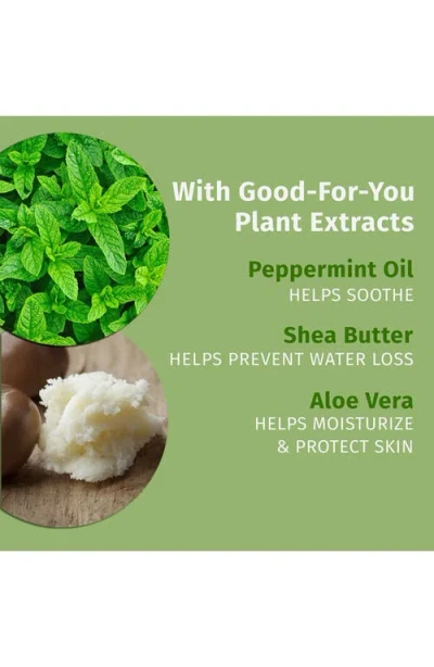 Hempz Pink Peppermint Meringue Body Moisturizer In Purple