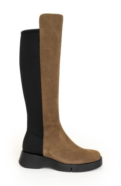 Aerosoles Women's Flavia Riding Boot In Multi