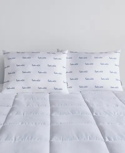 Splendid Medium Density 2-pack Pillows, Standard In White