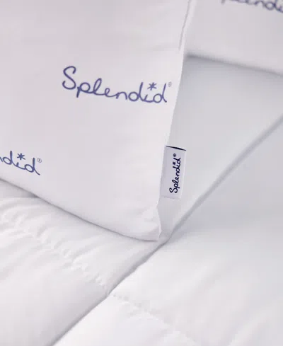 Splendid Medium Density 2-pack Pillows, Standard In White