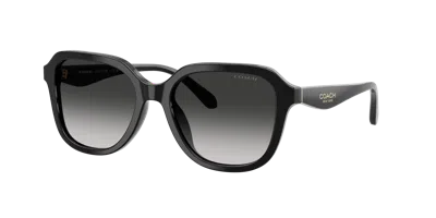 Coach Woman Sunglass Hc8437f Cby89 In Black