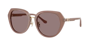 Coach Woman Sunglass Hc8436 Cby93 In Brown