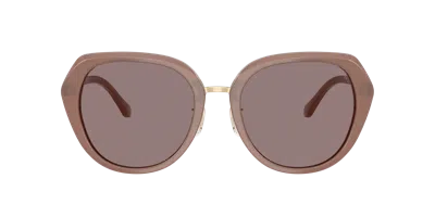 Coach Woman Sunglass Hc8436 Cby93 In Brown