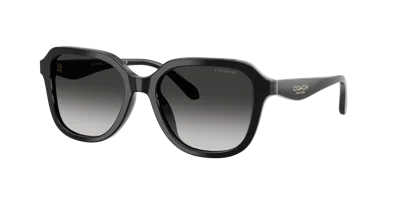 Coach Woman Sunglass Hc8437f Cby89 In Black