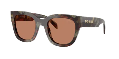 Prada Cat-eye-frame Sunglasses In Brown