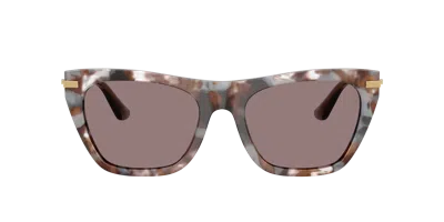 Dolce & Gabbana Eyewear Sunglasses In Brown