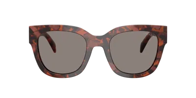 Prada Woman Sunglass Pr C04sf In Brown