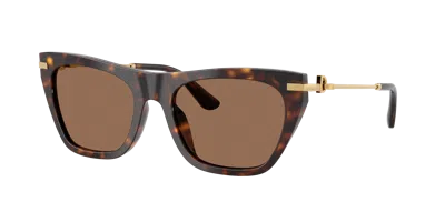 Dolce & Gabbana Full Frame Sunglasses In Brown
