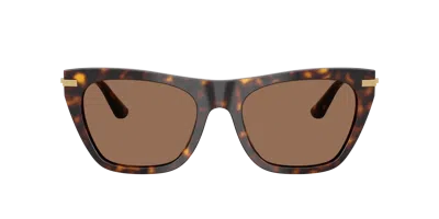 Dolce & Gabbana Full Frame Sunglasses In Brown