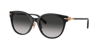 Tiffany & Co . Woman Sunglass Tf4223d In Black