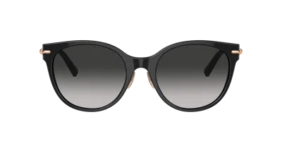 Tiffany & Co . Woman Sunglass Tf4223d In Black