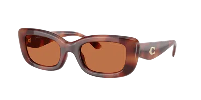 Coach Woman Sunglass Hc8390u Cr610 In Brown