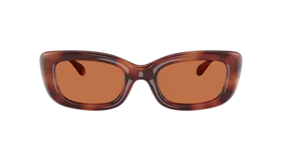 Coach Woman Sunglass Hc8390u Cr610 In Brown