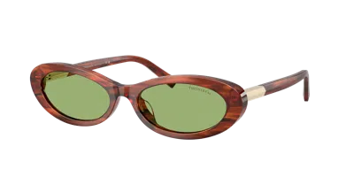 Tiffany & Co . Woman Sunglass Tf4250 In Multi
